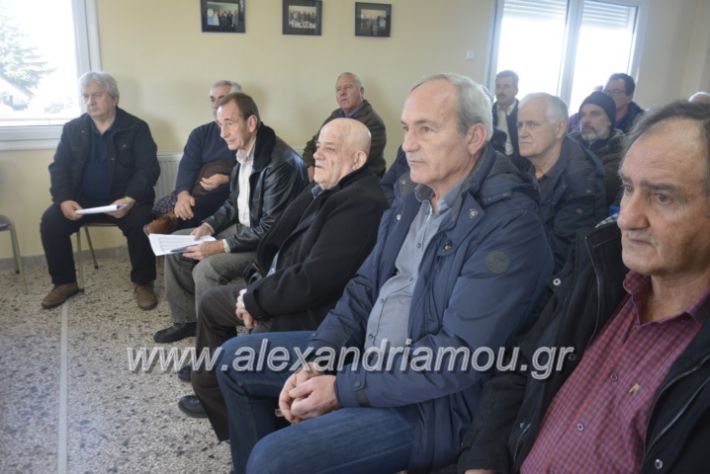 alexandriamou.sintoeb2019015