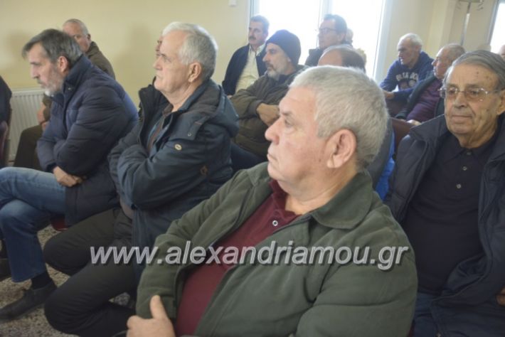 alexandriamou.sintoeb2019031