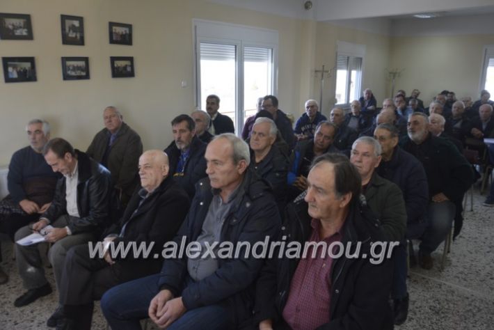 alexandriamou.sintoeb2019050