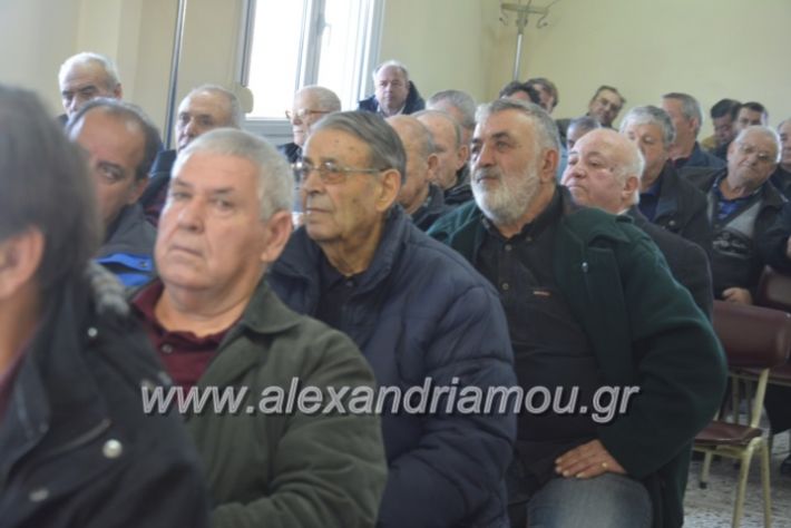 alexandriamou.sintoeb2019053