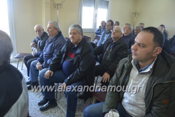 alexandriamou.sintoeb2019070