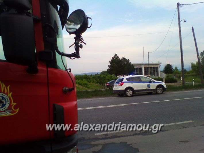 alexandriamou.gr_siria003