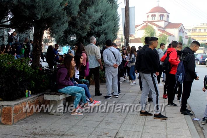 alexandriamou.gr_simarsiskepsi2019IMG_1752