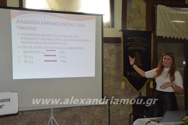 alexandriamou.gr_stamkopoulou191043