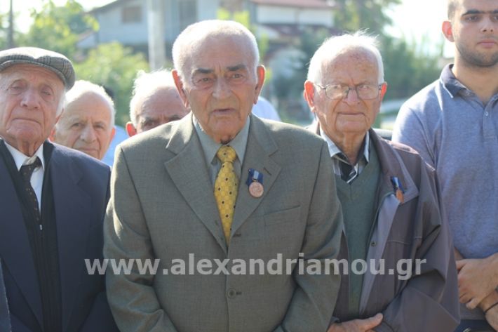 alexandriamou.gr_staurosmaxi2019021