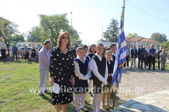 alexandriamou.gr_staurosmaxi2019030