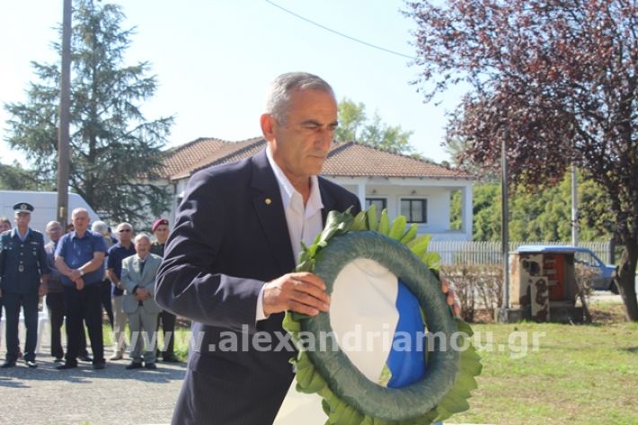 alexandriamou.gr_staurosmaxi2019048