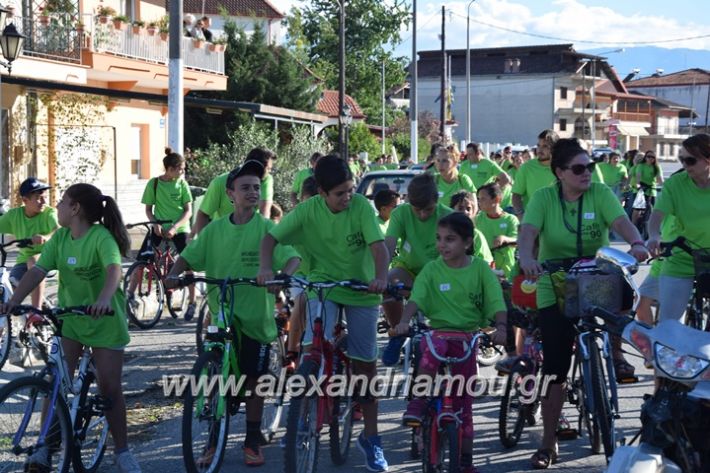 alexandriamou_stauros_podilatodromia2017003