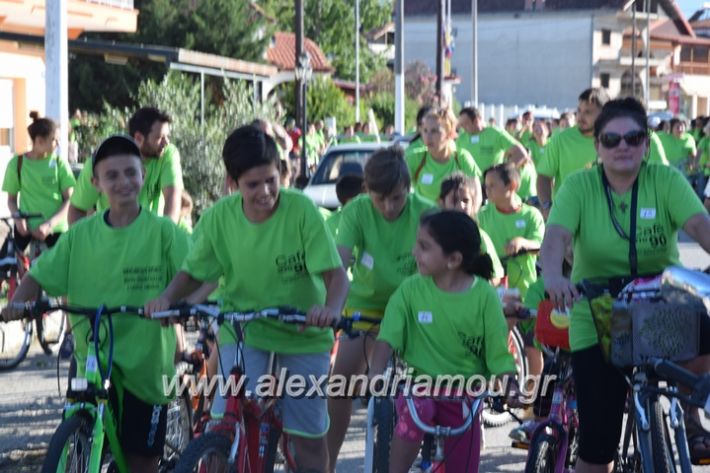 alexandriamou_stauros_podilatodromia2017004