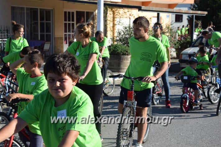 alexandriamou_stauros_podilatodromia2017006