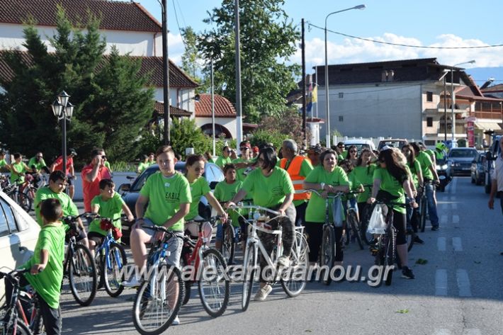 alexandriamou_stauros_podilatodromia2017012