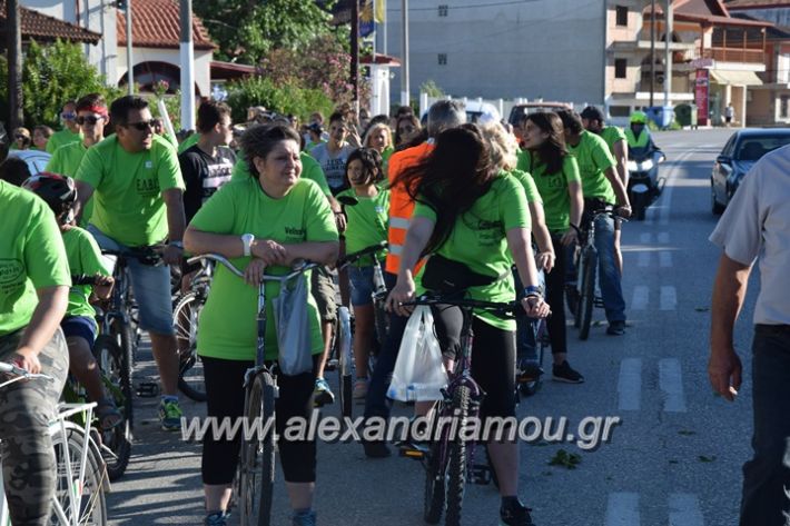 alexandriamou_stauros_podilatodromia2017015