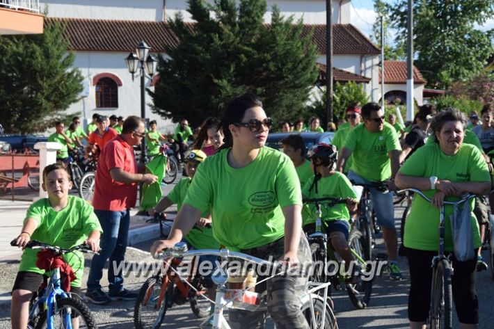 alexandriamou_stauros_podilatodromia2017016