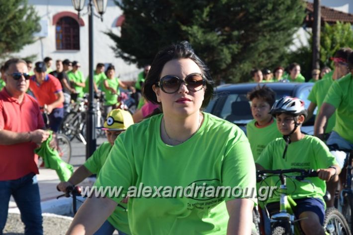 alexandriamou_stauros_podilatodromia2017017