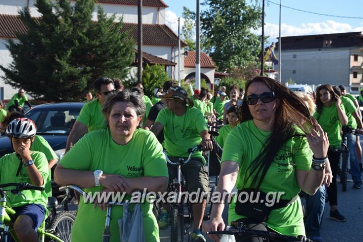 alexandriamou_stauros_podilatodromia2017018