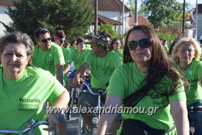 alexandriamou_stauros_podilatodromia2017019