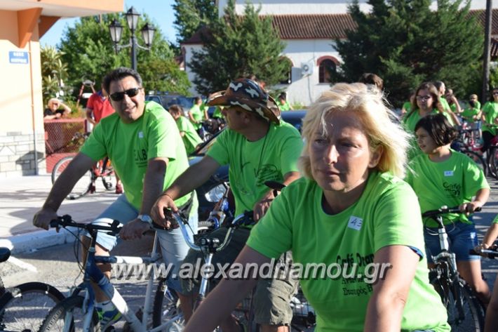 alexandriamou_stauros_podilatodromia2017022