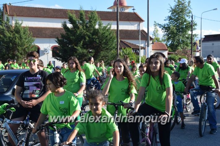 alexandriamou_stauros_podilatodromia2017023