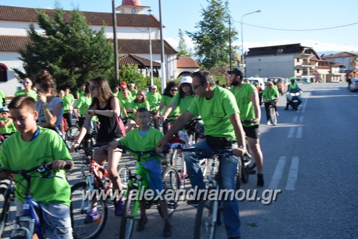 alexandriamou_stauros_podilatodromia2017028