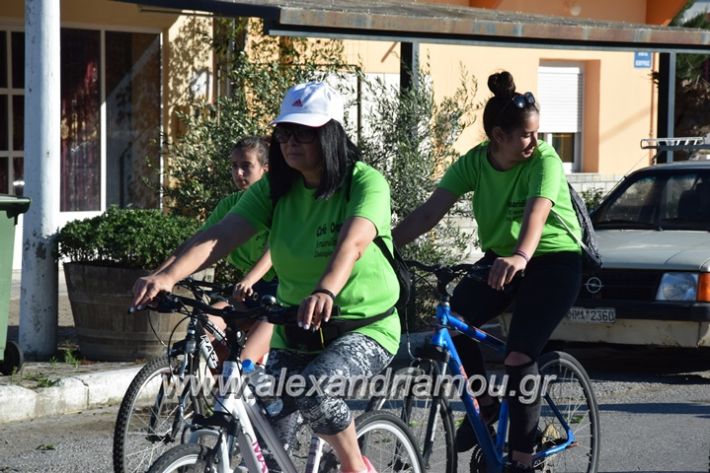 alexandriamou_stauros_podilatodromia2017041