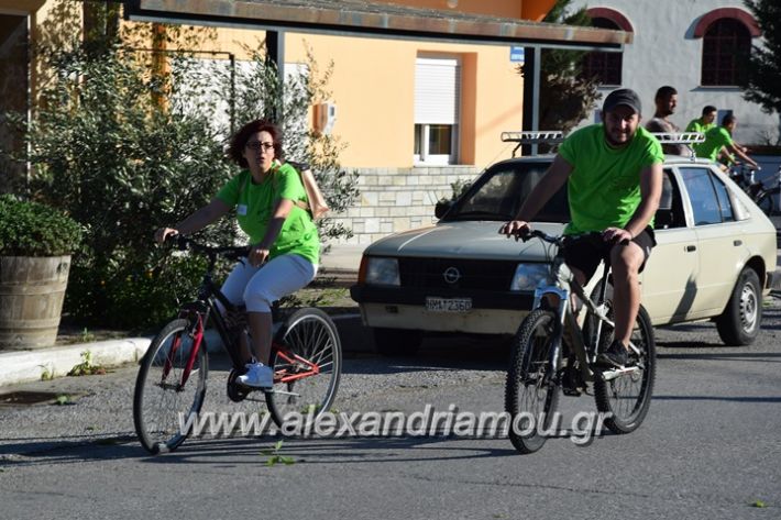 alexandriamou_stauros_podilatodromia2017044