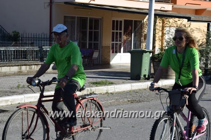 alexandriamou_stauros_podilatodromia2017053