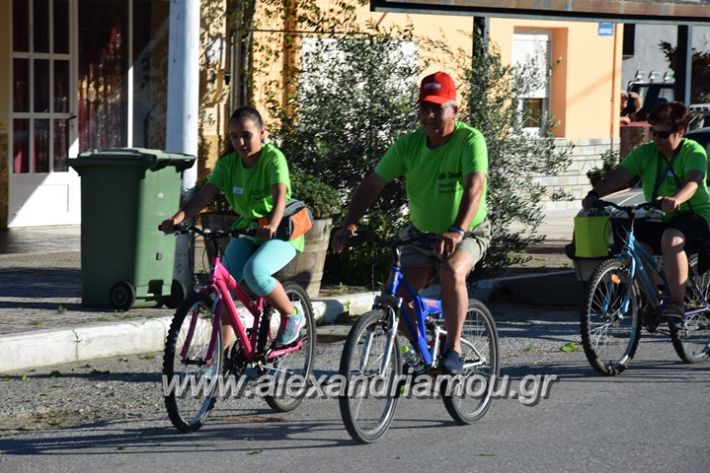 alexandriamou_stauros_podilatodromia2017054