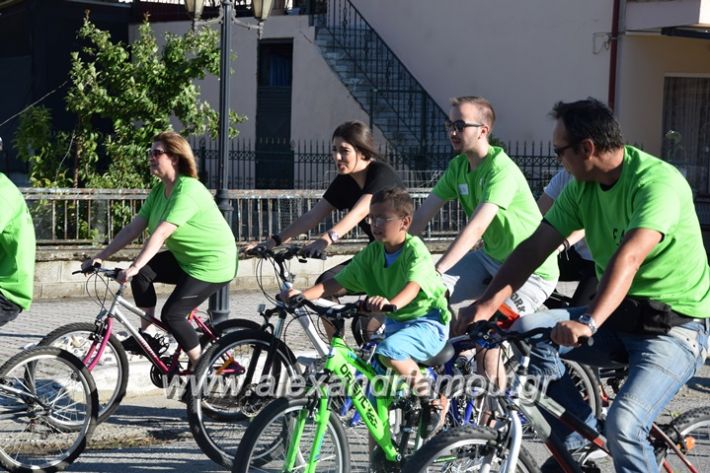 alexandriamou_stauros_podilatodromia2017061