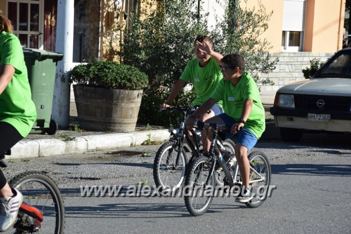 alexandriamou_stauros_podilatodromia2017065