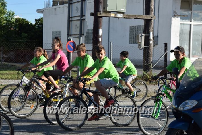 alexandriamou_stauros_podilatodromia2017070