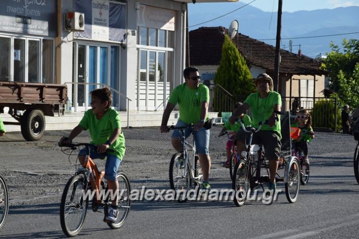 alexandriamou_stauros_podilatodromia2017075