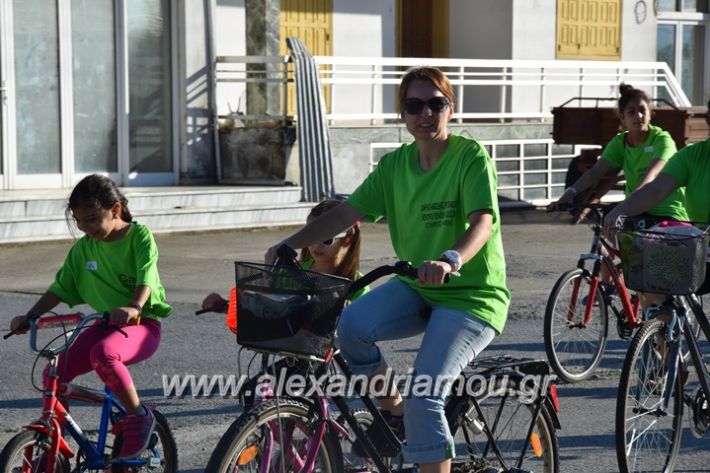 alexandriamou_stauros_podilatodromia2017077