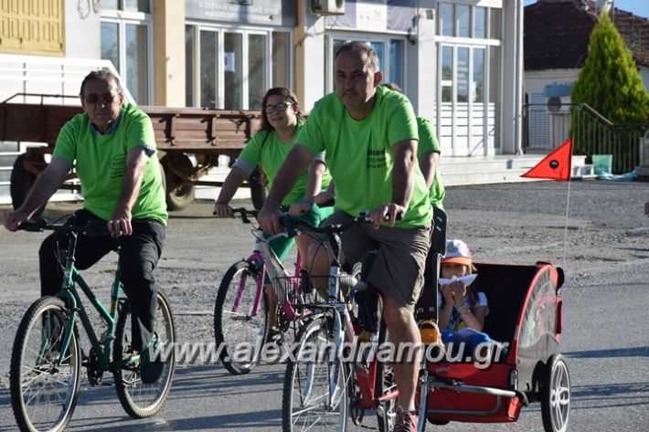 alexandriamou_stauros_podilatodromia2017078