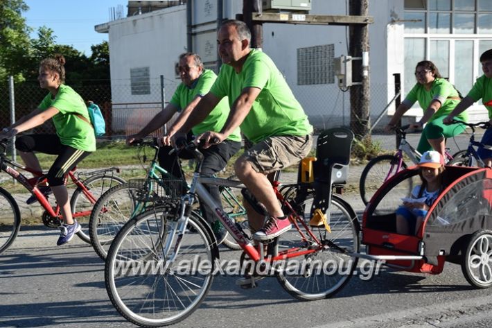 alexandriamou_stauros_podilatodromia2017083