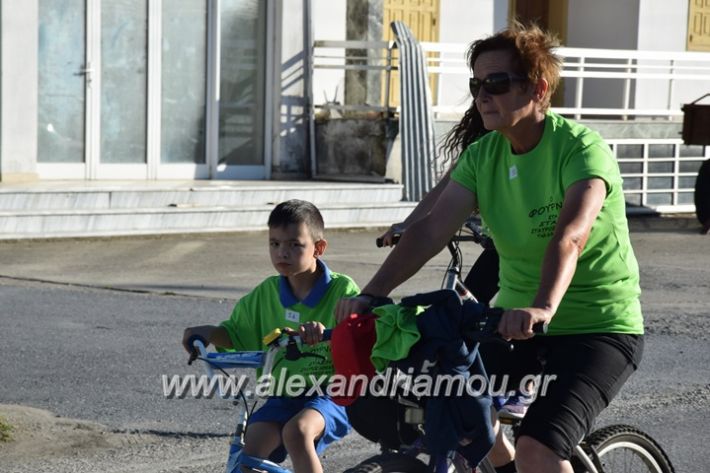 alexandriamou_stauros_podilatodromia2017095