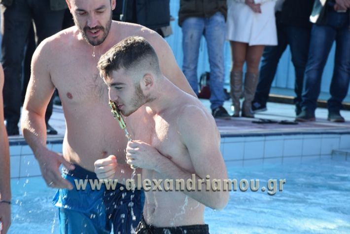 alexandriamou.gr_stavros18019