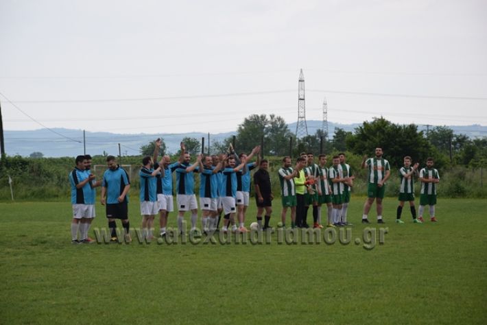 alexandriamou.gr_stauros06.05.18038