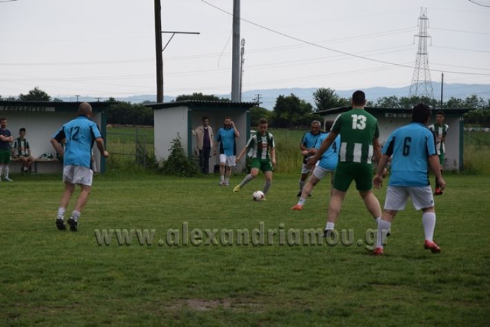 alexandriamou.gr_stauros06.05.18041