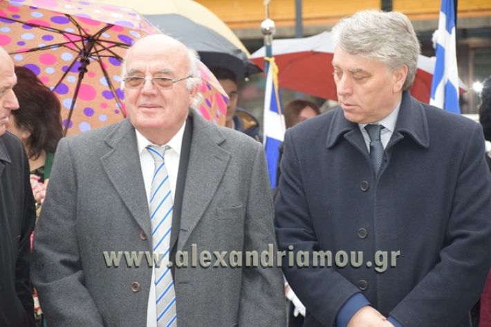 alexandriamou.gr_katathesi20188015