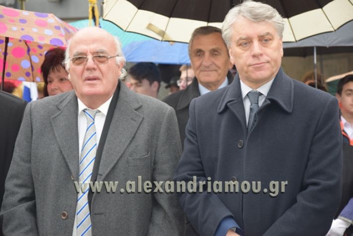 alexandriamou.gr_katathesi20188024