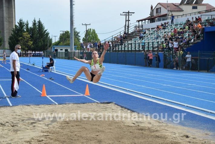 www.alexandriamou.gr_stivos21DSC_0021