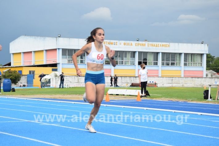www.alexandriamou.gr_stivos21DSC_0112