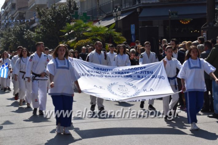 alexandriamou_parelasistratossillogoi2019117