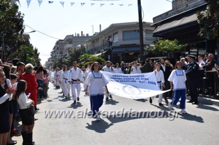 alexandriamou_parelasistratossillogoi2019118