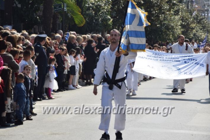 alexandriamou_parelasistratossillogoi2019378