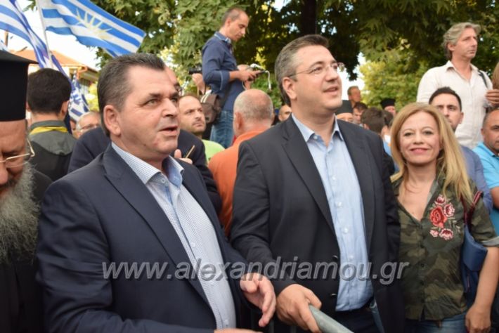 alexandriamou.gr_sullalitiriovergina086