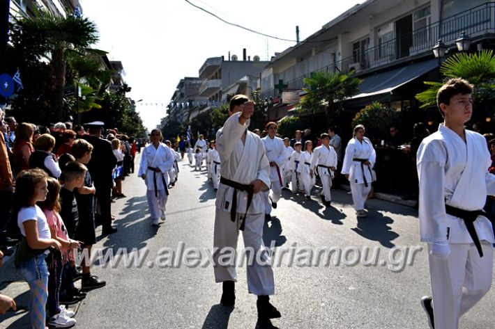 alexandriamou.gr_parelasi28.1019DSC_0685