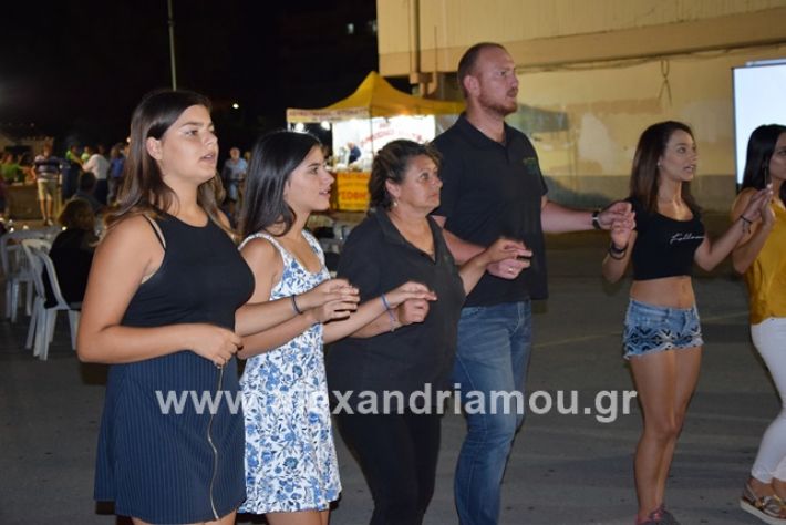 alexandriamou.gr_sukkDSC_0005