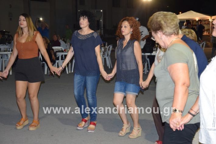 alexandriamou.gr_sukkDSC_0030