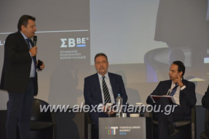 alexandriamou.gr_summit2018039